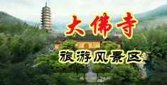 黑龙江抚远物流公司电话中国浙江-新昌大佛寺旅游风景区
